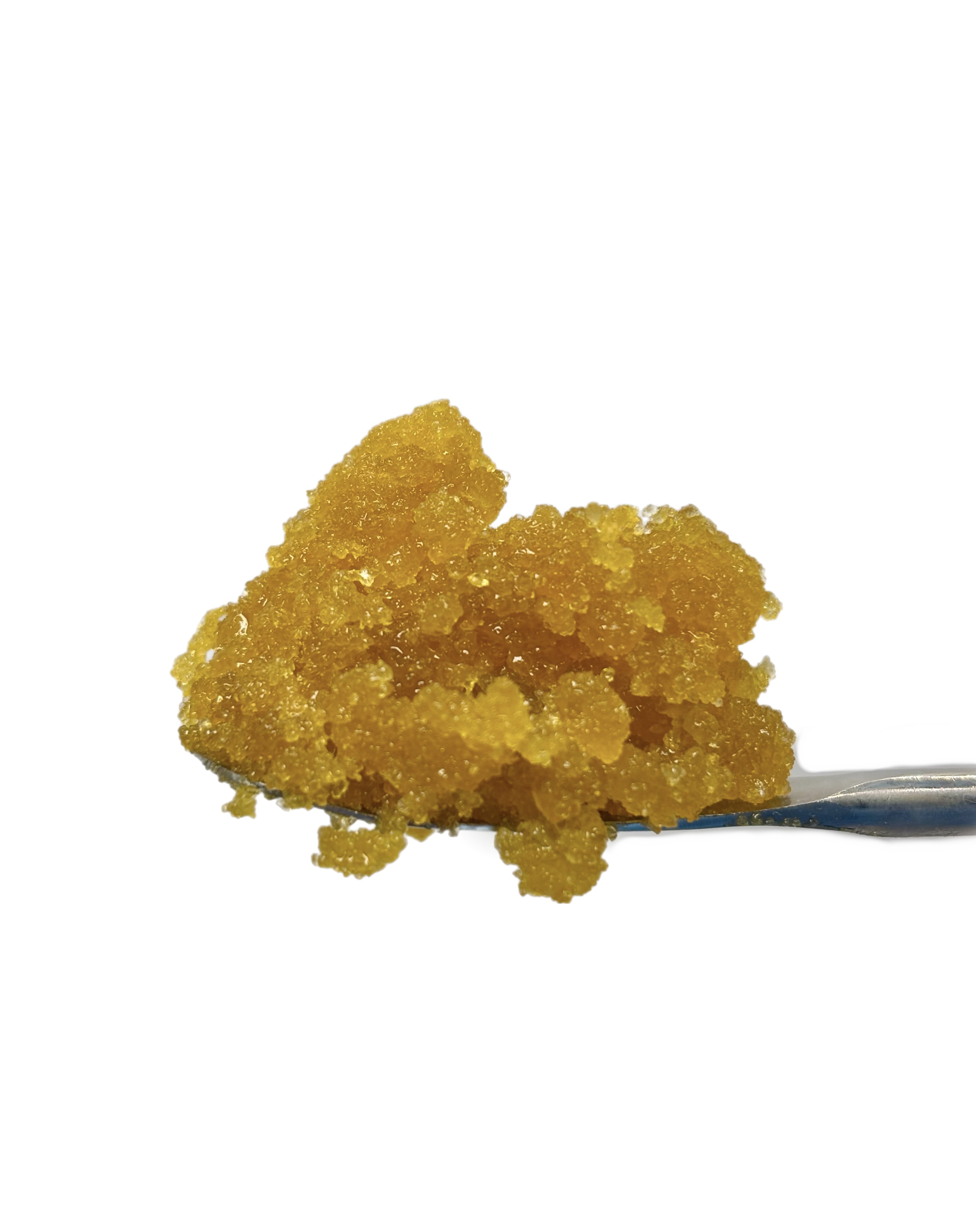 Progro Fight Club Bulk Live