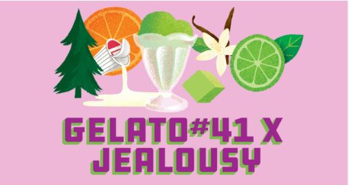 Gelato 41 x Jealousy I 14g