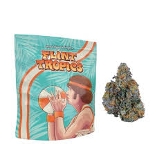 Flint Tropics