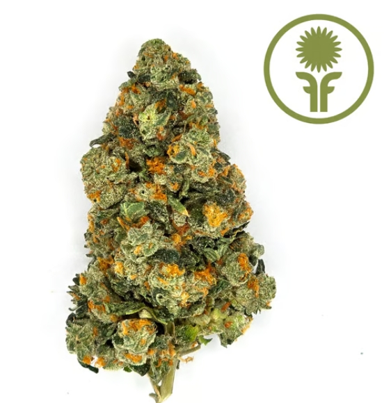 Sour Garlic Flower: 3.5g