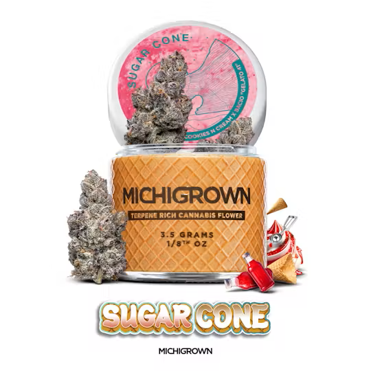 Michigrown Sugar Cone Flower