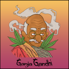 Ganja Gandhi - Cherry Blossom - 3.5g CBD Flower - 3.5g in Rochester