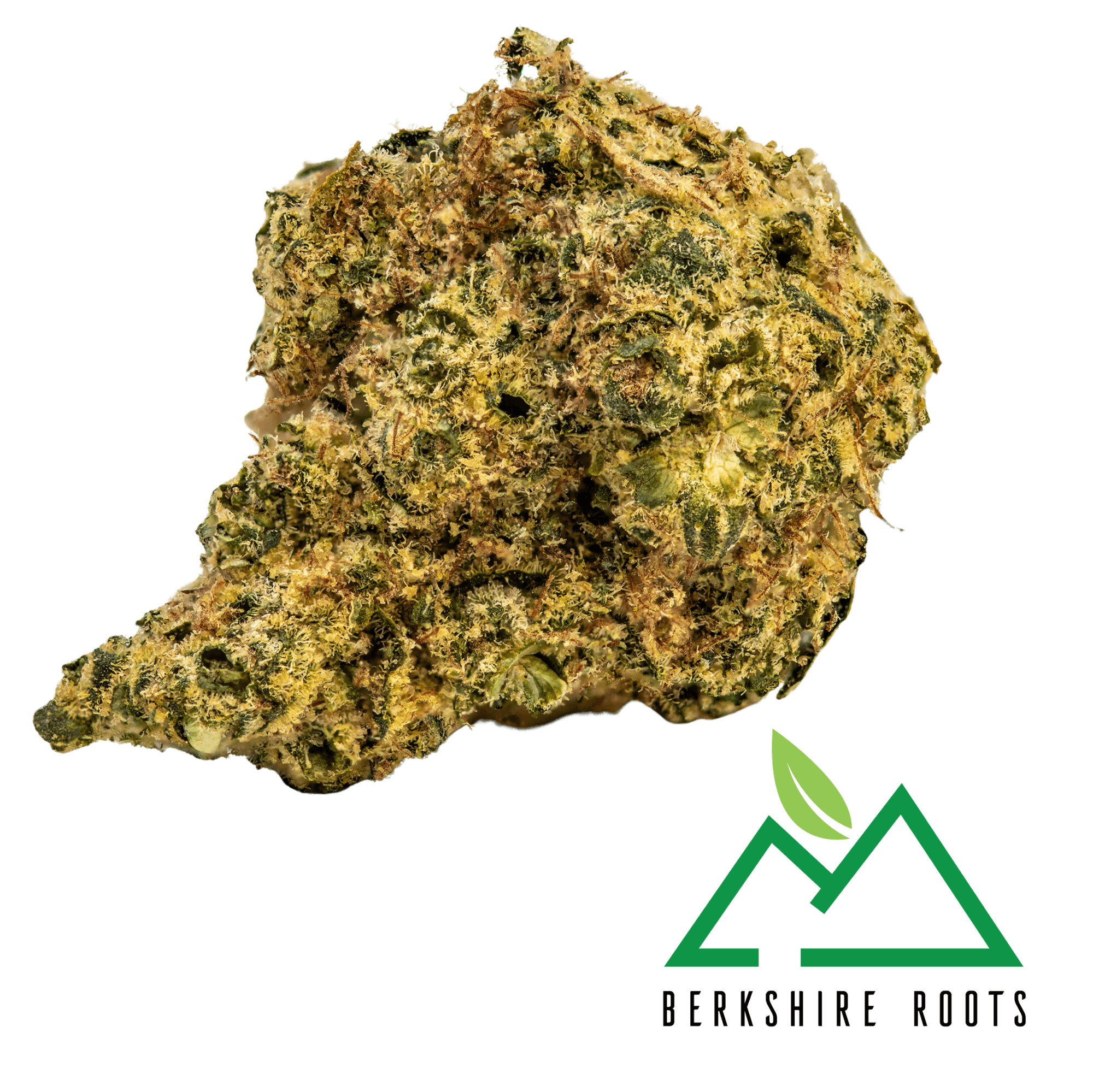 Orange Chemeleon (S) | Flower | 28g