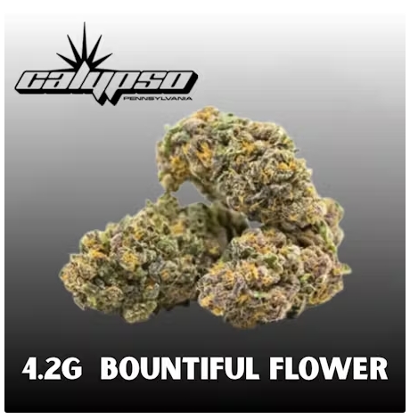 Dank Side Flower: 4.2g