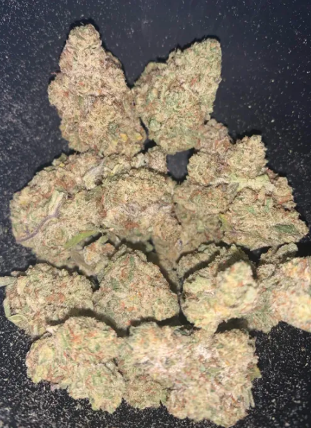 Cali Blaze | Gorilla Glue #4 | Hybrid | Bulk Flower | Bees Knees