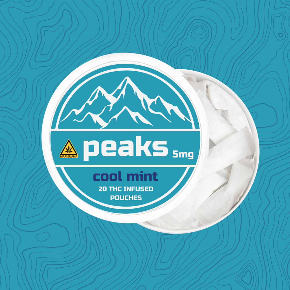 Cool Mint 5mg THC Pouches