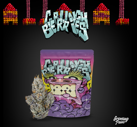 Growing Pains - Crunch Berries - 1g Preroll