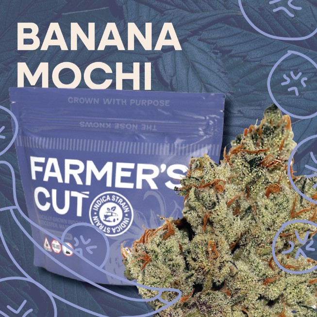 Banana Mochi