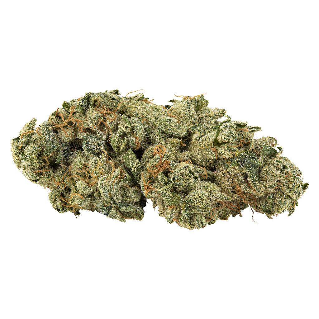 Big Bag O' Buds - Tropical Cookies - Indica