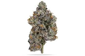 Firebrand - Lemon Cherry Gelato