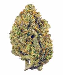 Sherb Cream Pie | Smalls