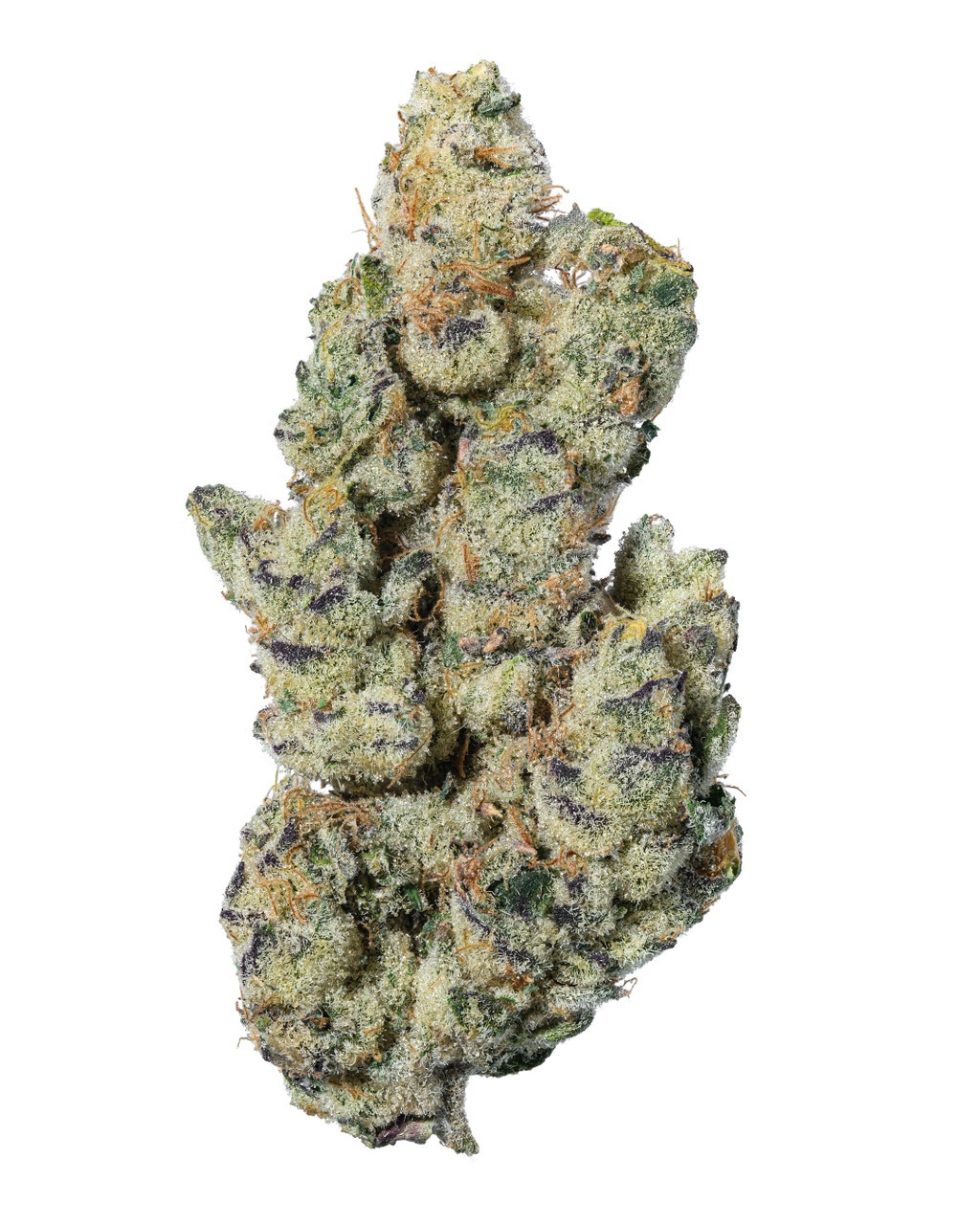 PMT Cultivation - Garlic Cocktail - Bulk