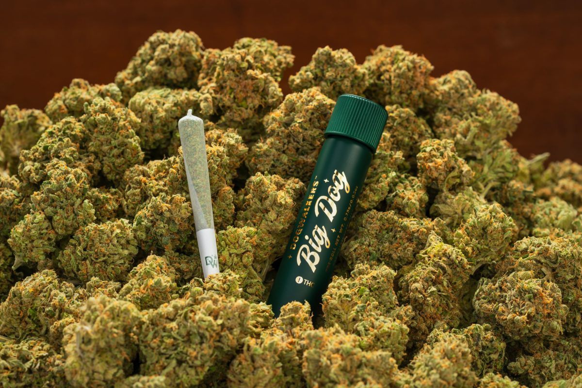 Dogwalkers Big Dog Preroll (.75g) Brownie Scout