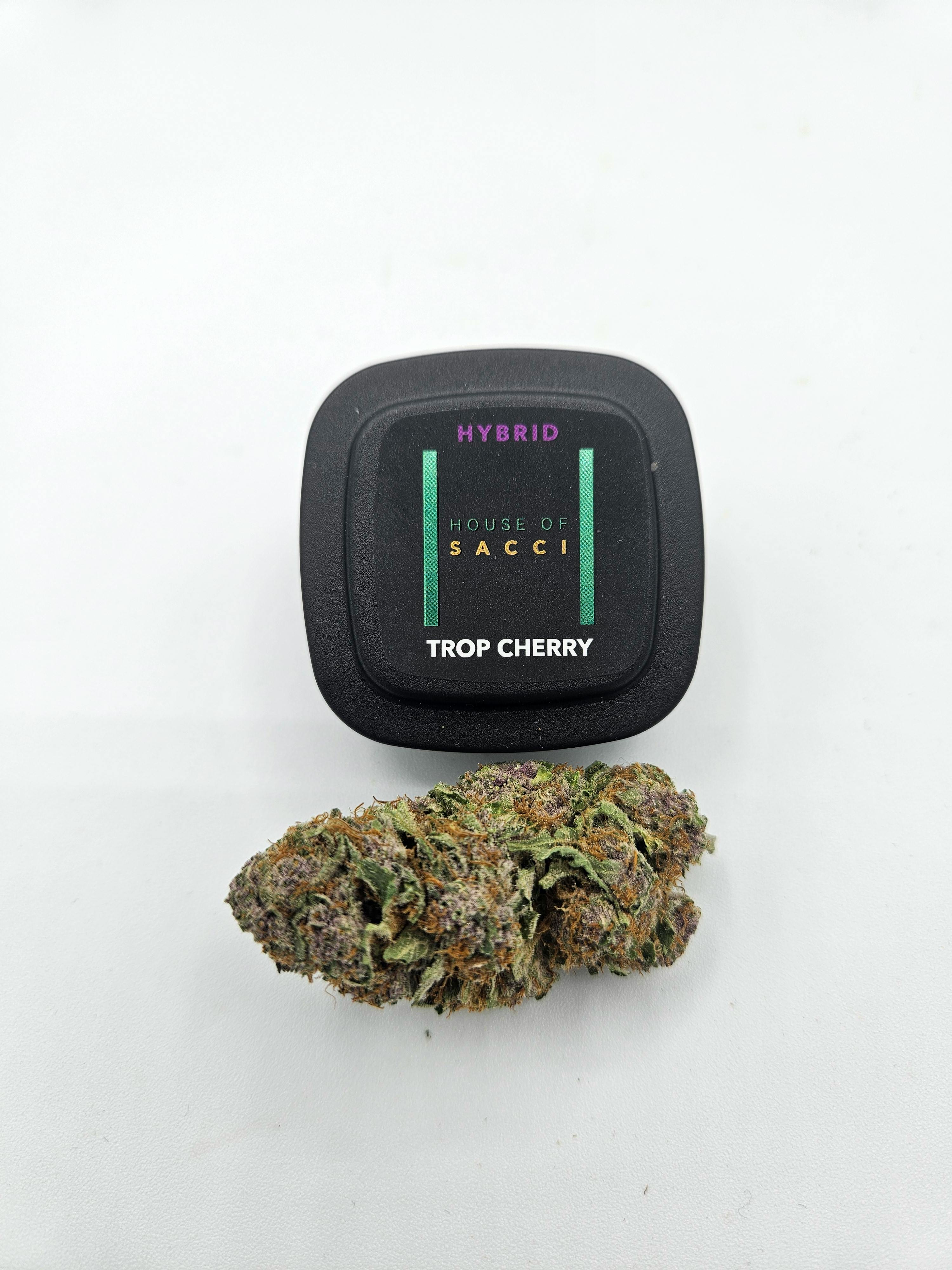 HOUSE OF SACCI - TROP CHERRY - 3.5G HYBRID
