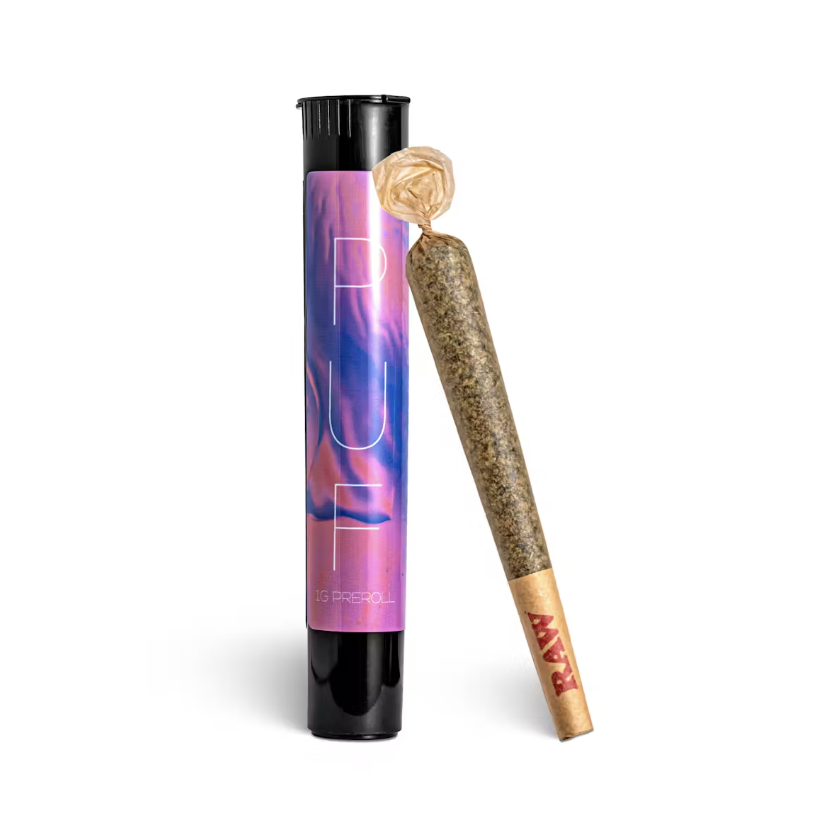 Distro Florida Man Preroll