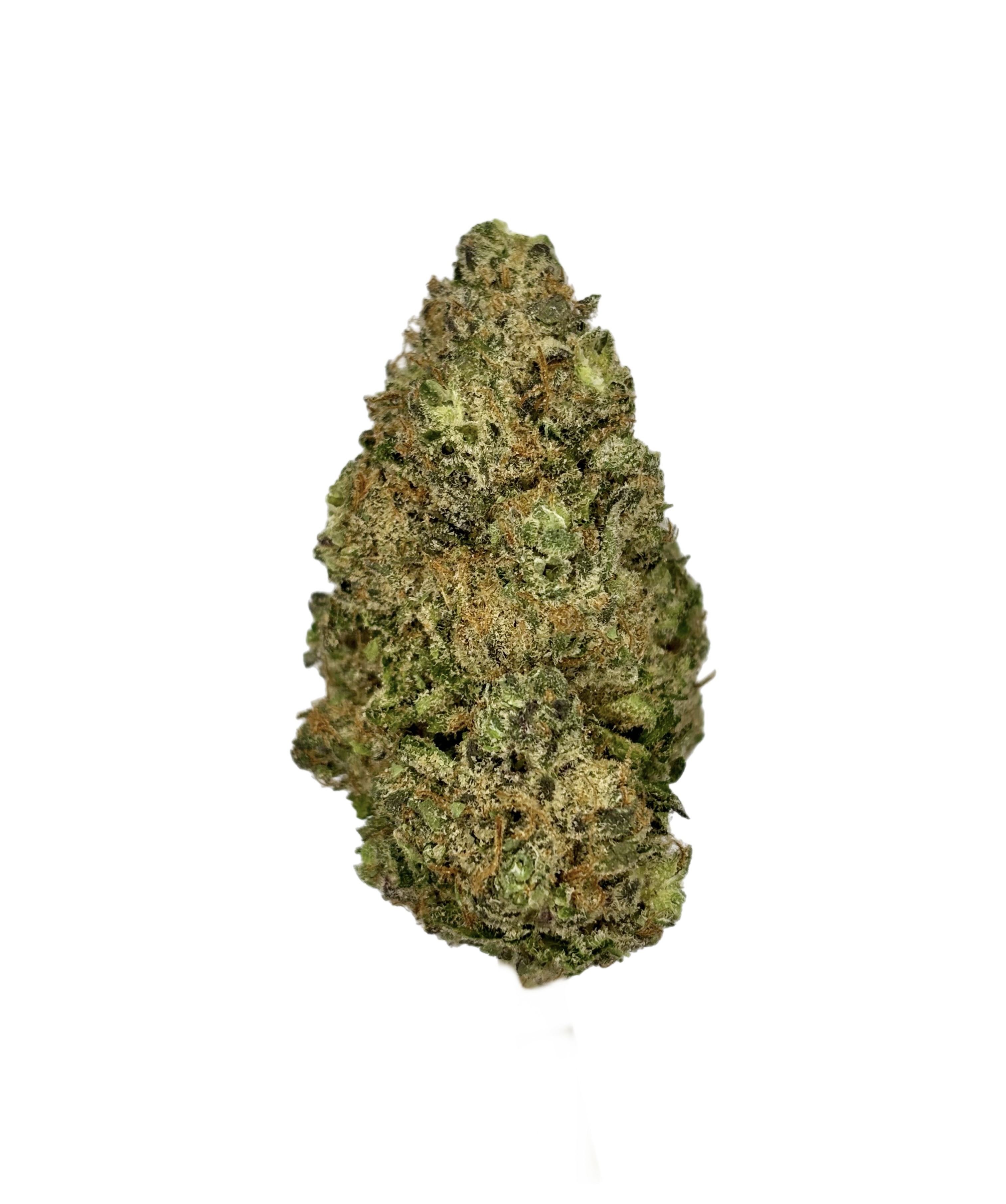 Peach Goblin Bulk Flower Platinum