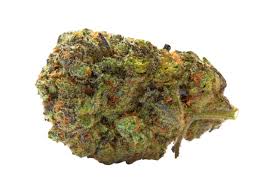 Gelato
