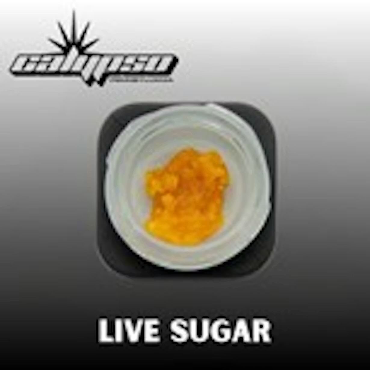 Jealousy Mntz Live Sugar: 1g