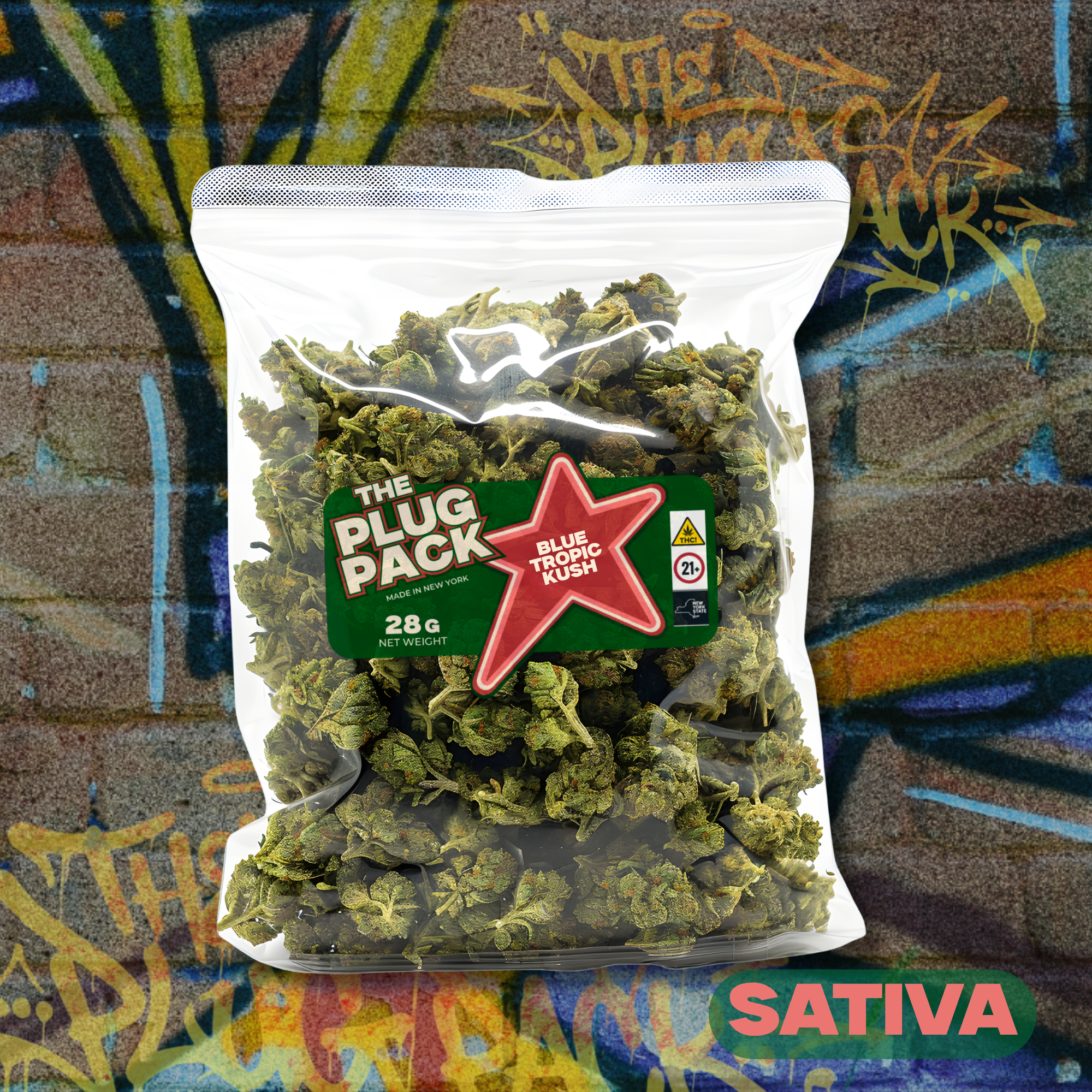 Blue Tropic Kush  | 28g Flower | The Plug Pack | - 1oz in Poughkeepsie