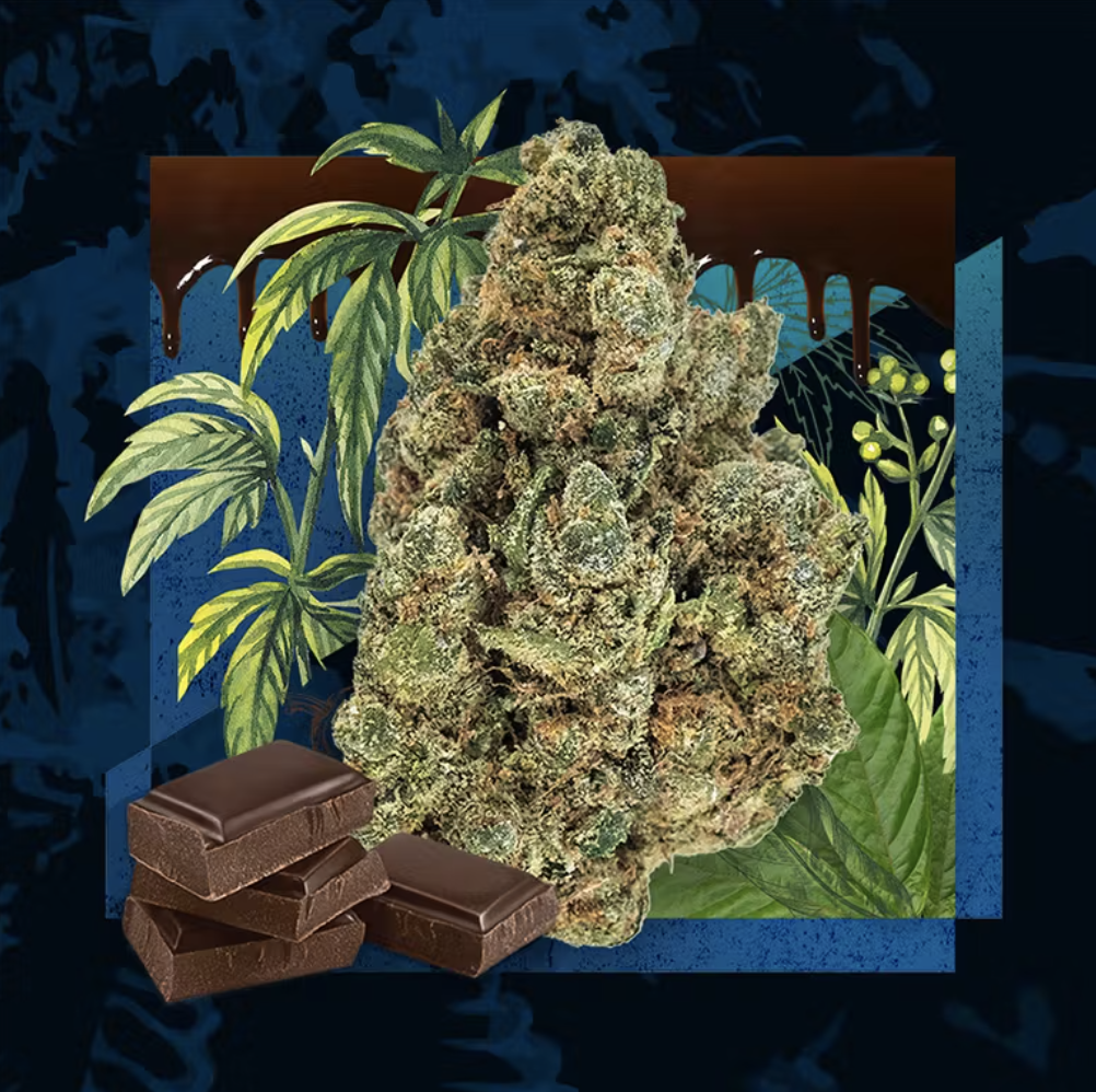Chocolate OG - Flower