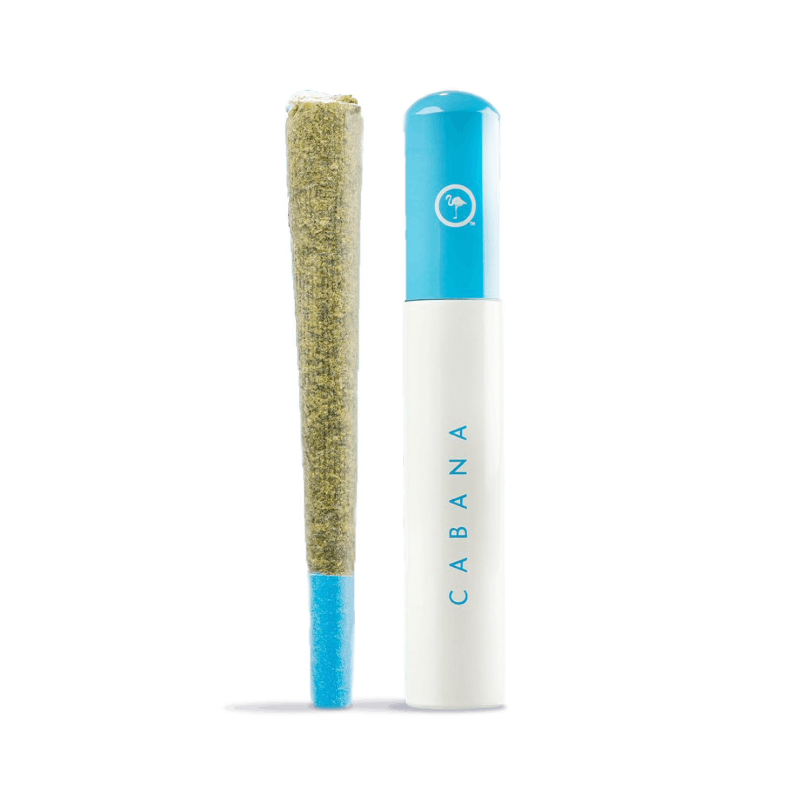 Cabana: Black Dolphin Cone