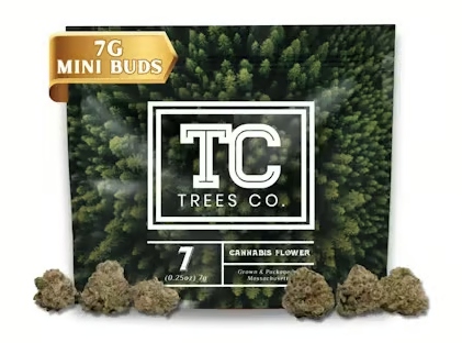 Rocket Fuel Mini Buds