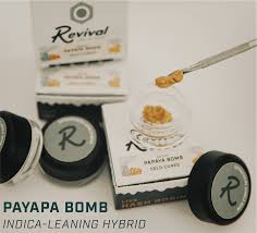Papaya Bomb (ID) Live Rosin 1g