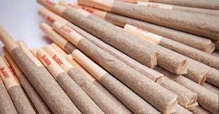 Pre Roll | Schism 15