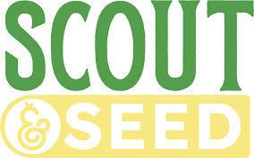 Scout & Seed - Melted Strawberries Preroll