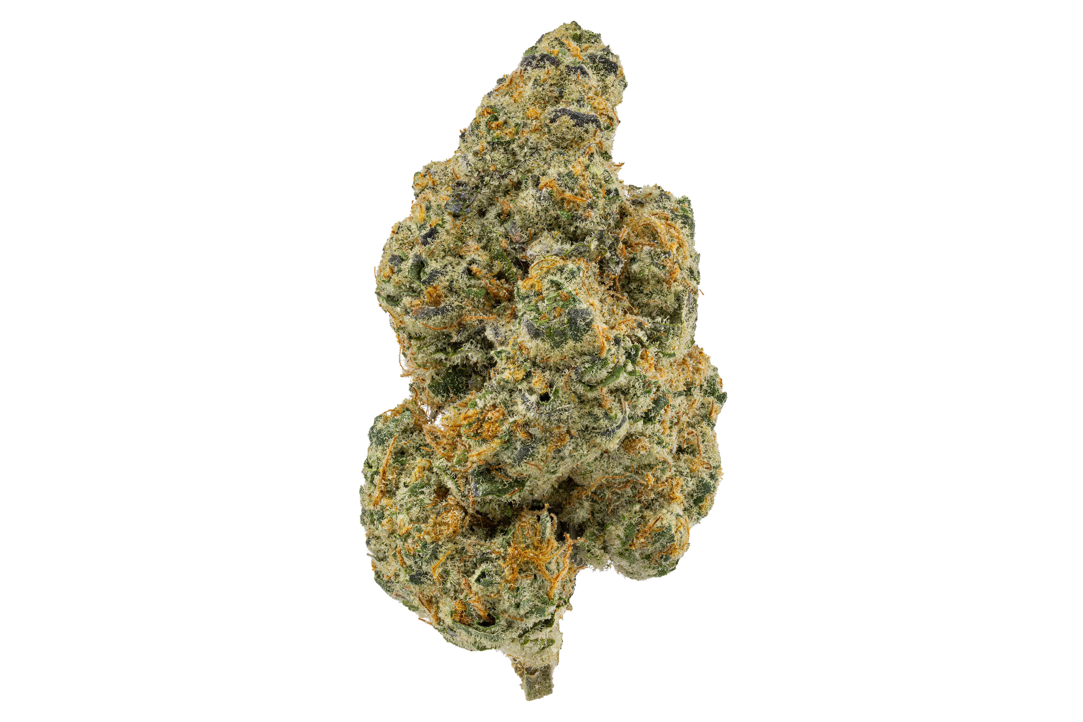 DELI - Forte - Baby Yoda