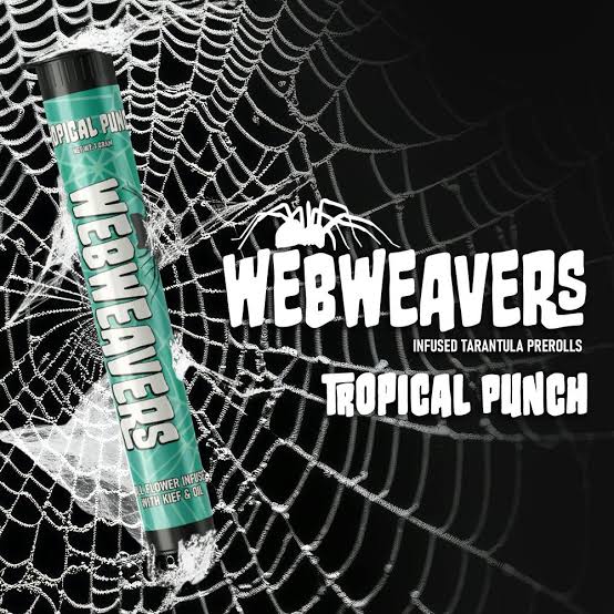 Triple Tropical Punch Hole