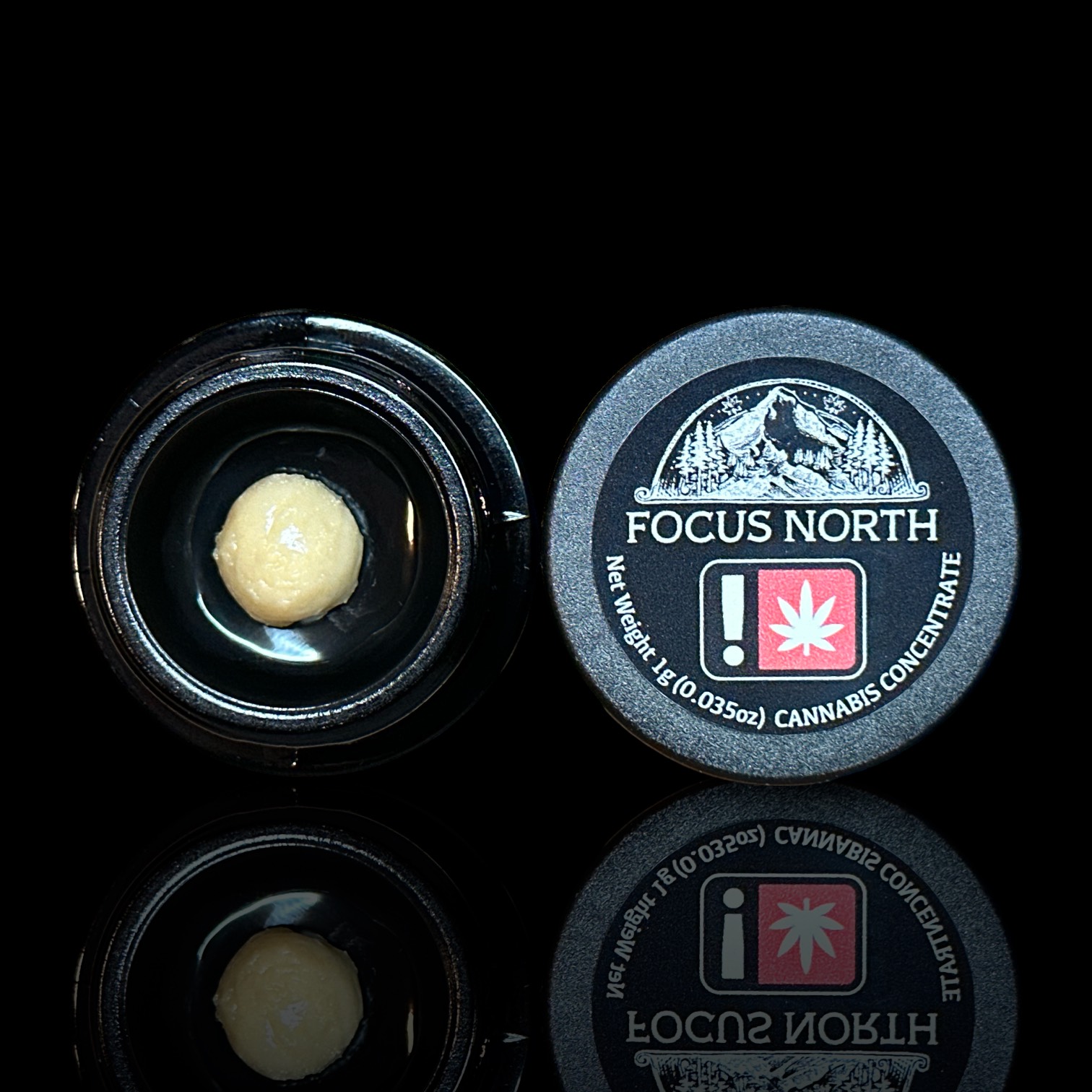 Focus North Gardens: Rocky Love