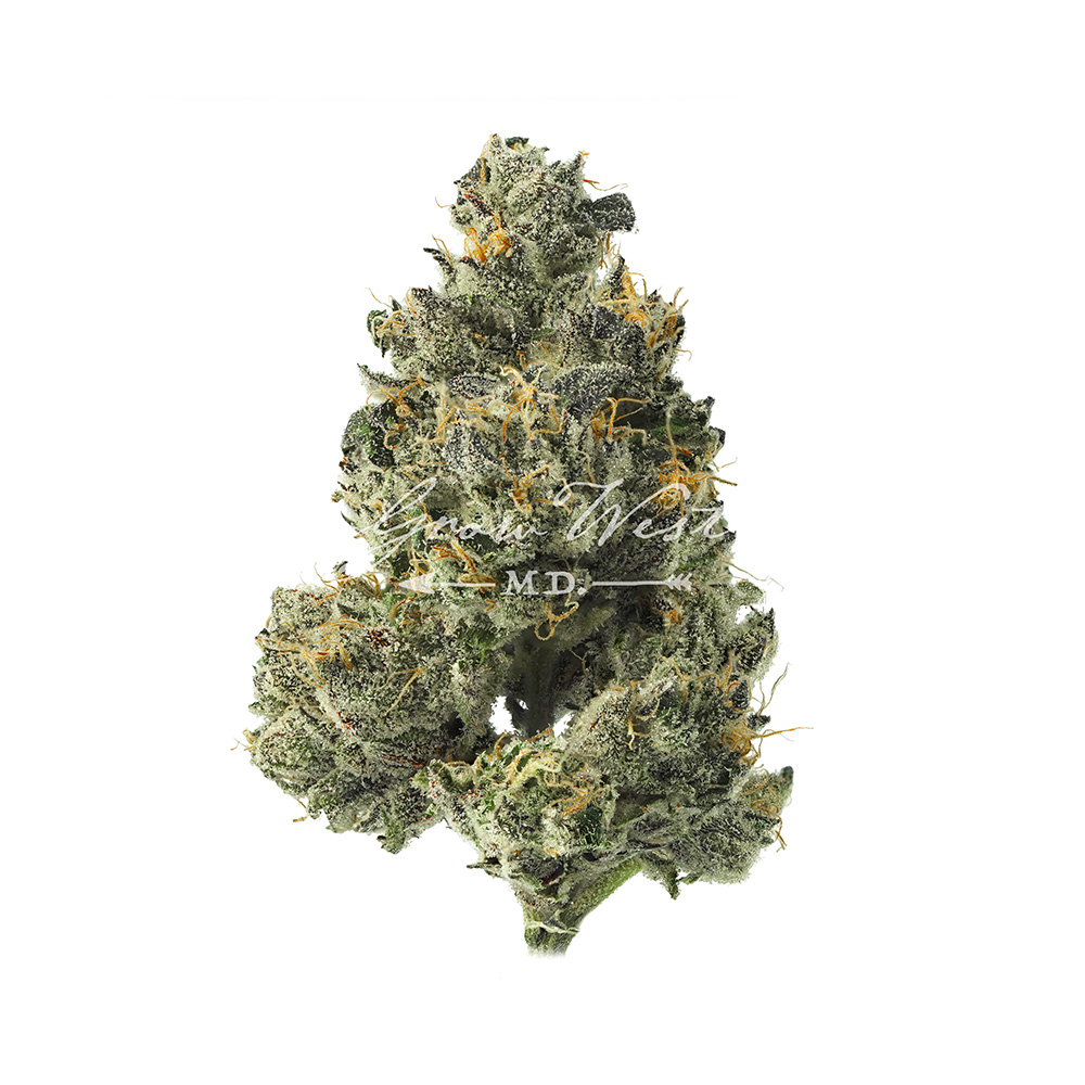 Twin Peaks | Gold | Trimmed Flower