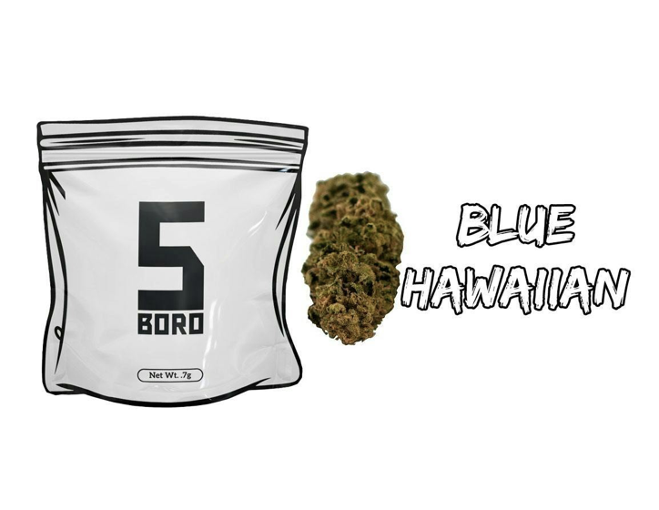 Blue Hawaiian 0.7g Dime flower
