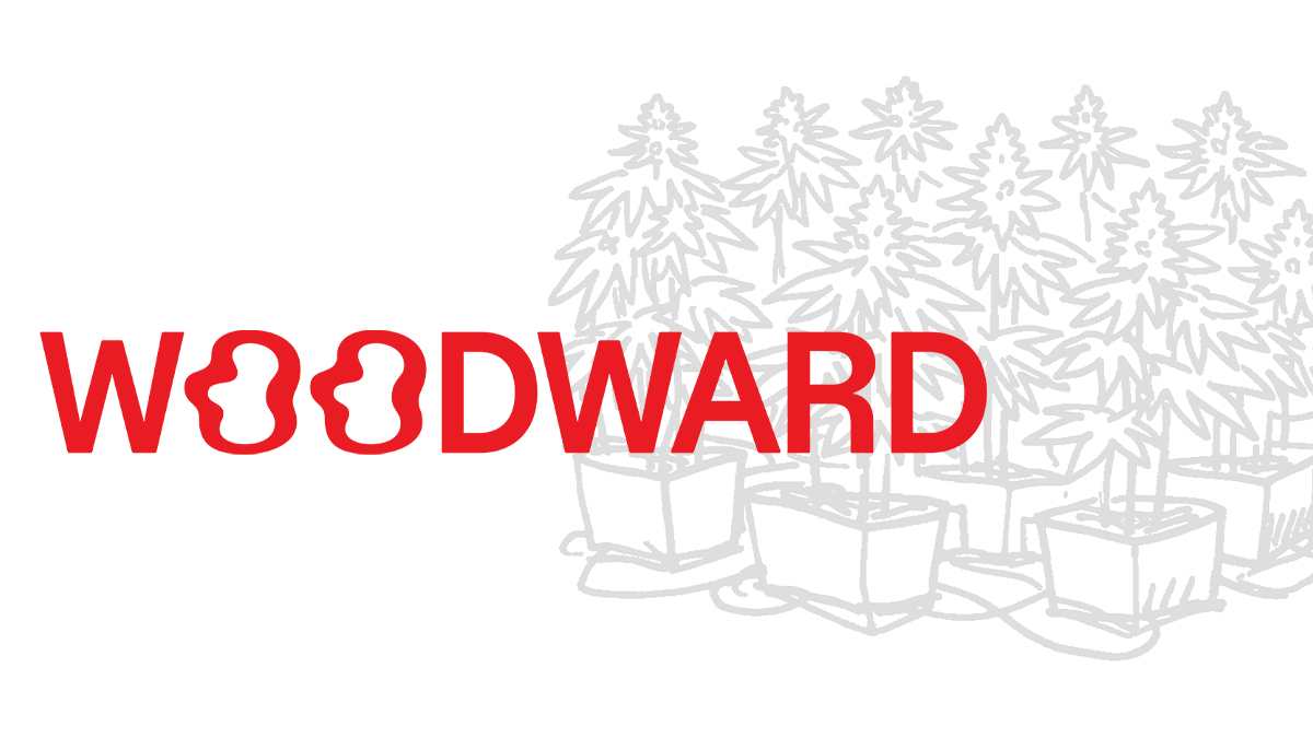 Woodward | Candy Rain (Buds) 5.66g | Hybrid