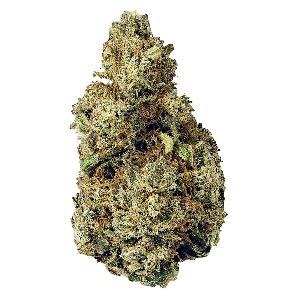 Terp Town Collective - Resting Gas Face - 3.9% Terps! - Indica