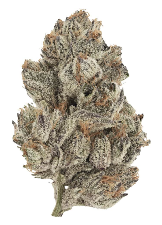 Tropical Trainwreck