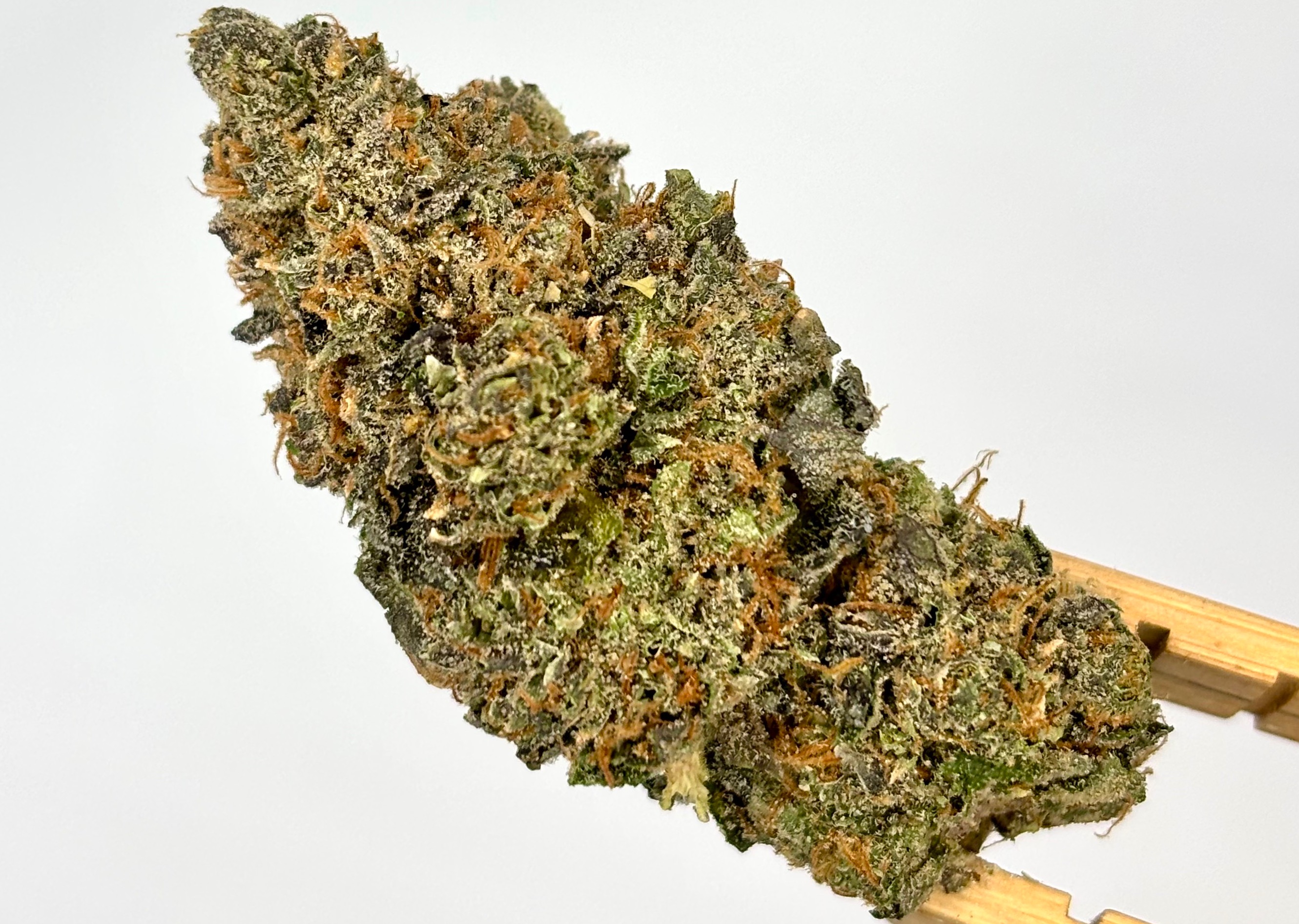 BAMN | Jelly Roll | Bulk Flower | Purple Tier