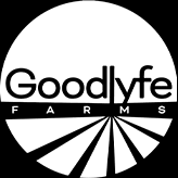 Sour Pebbles1g Infused Pre-roll*