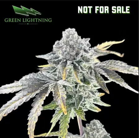 Not For Sale | Green Lightning 2. Pre-Roll Pack