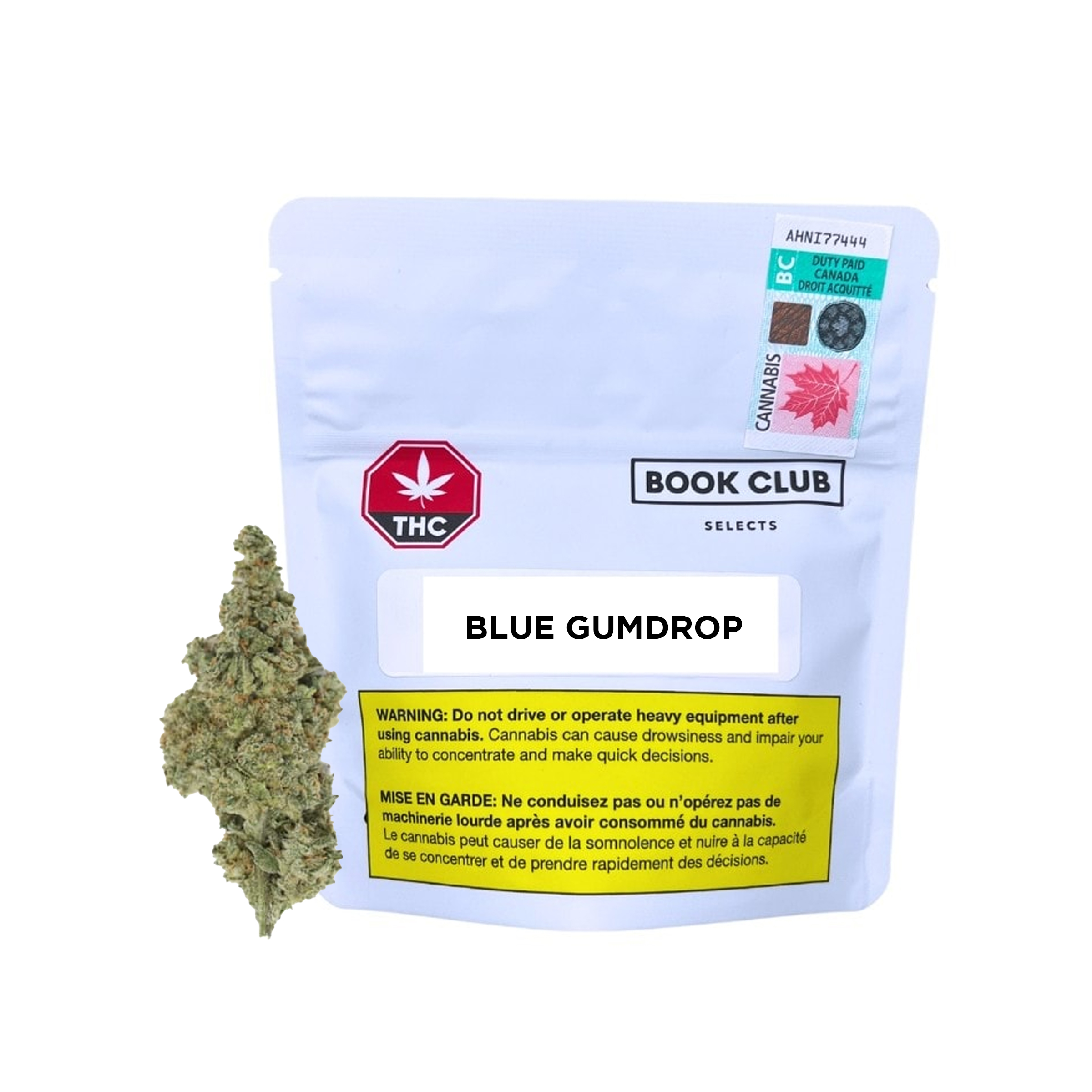Blue Gumdrop Flower - Hybrid