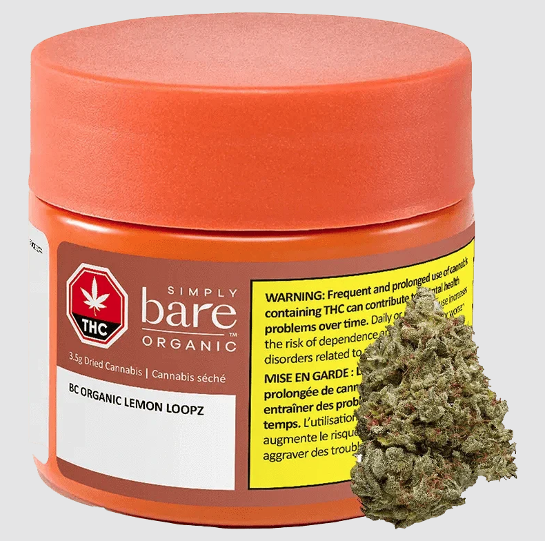 Lemon Loopz Dried Flower