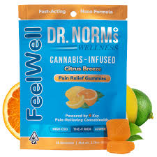 DR. NORM'S: Citrus Breeze Pain Relief Formula