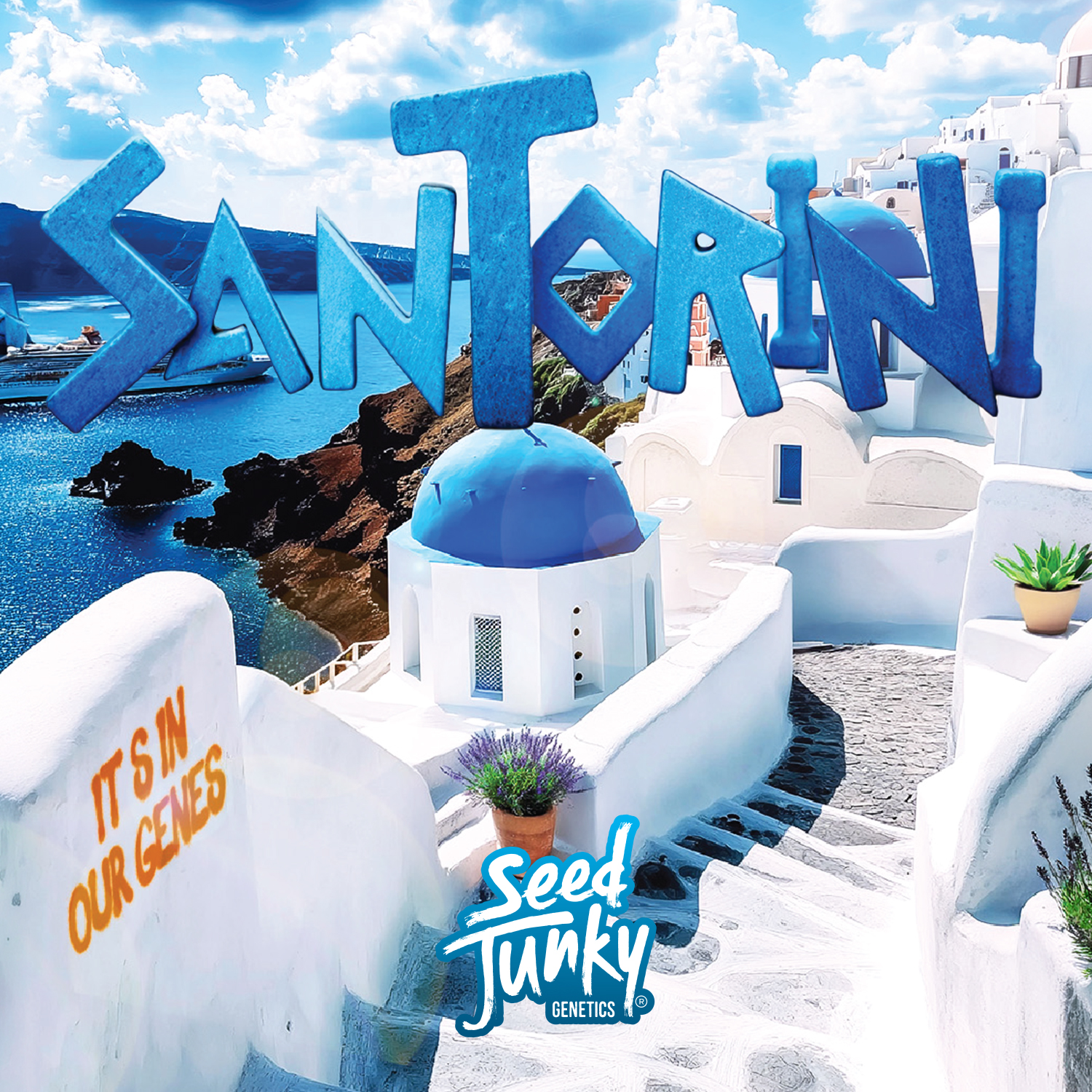 Santorini Deli