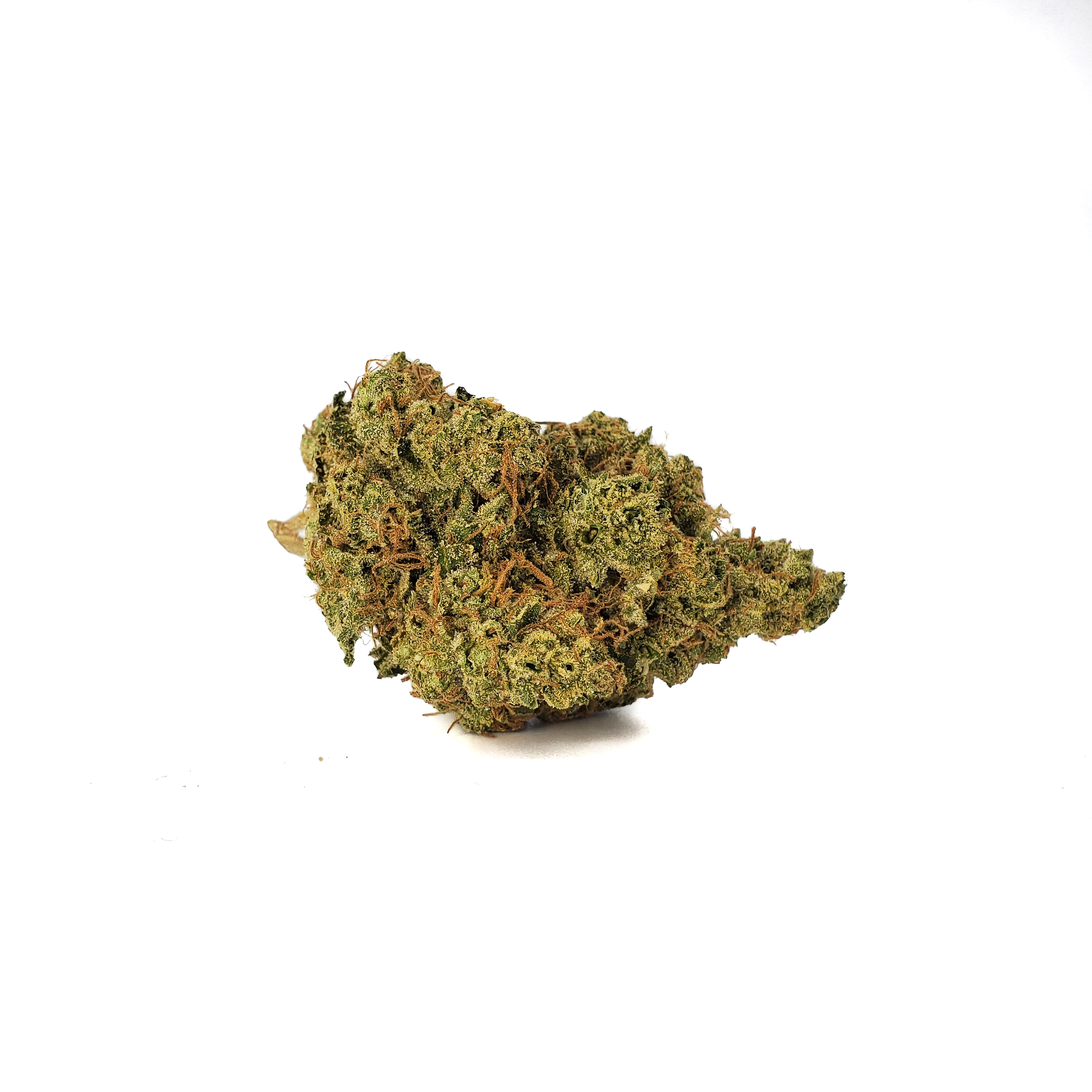 Dog Walker Og