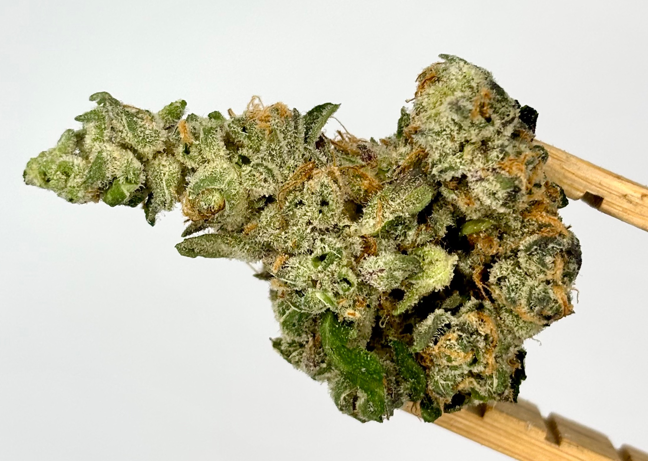 Gogurtz | Bulk Flower | Yellow Tier