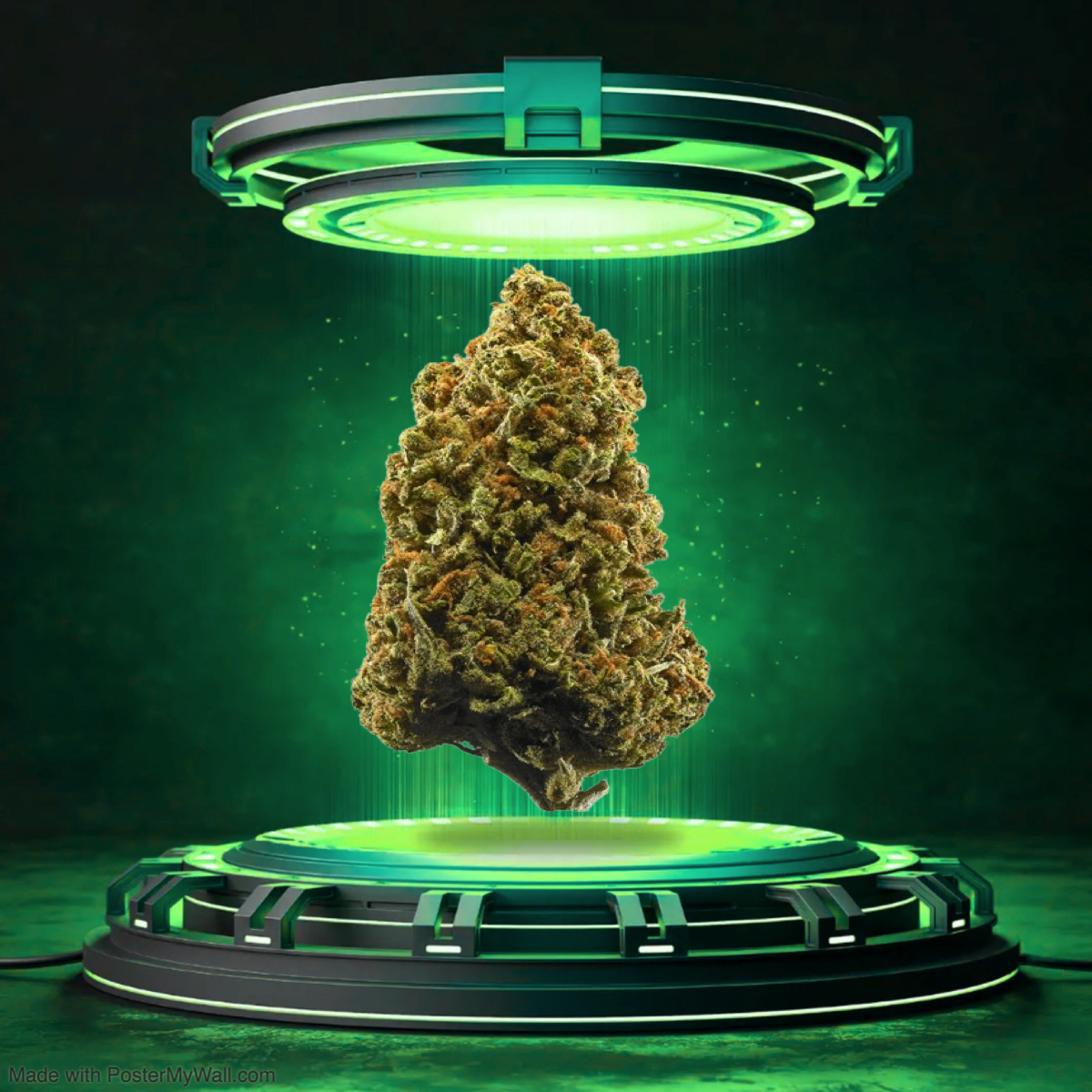 Bread Winner - Flower