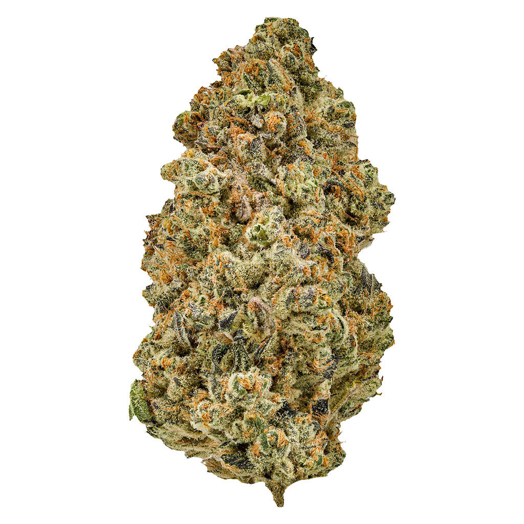 Cheers Cannabis - Sugar Daddy - Indica