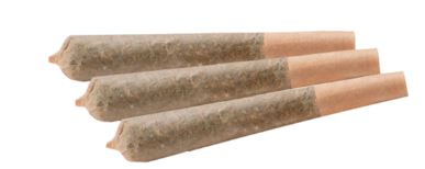 White Widow Pre-roll | 0.5G X 3