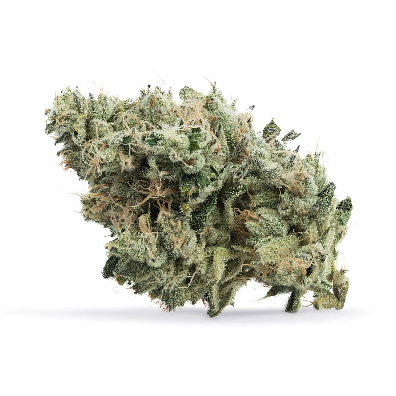 Cannabiotix — Jet Lag OG